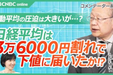 【日経平均株価は36000円割れで下値に届いたか│平野憲一氏】移動平均の圧迫大…長期投資家の資金必要／海外投資家は日本株を売り越し中／トランプ政策が欧州の団結に／春闘の賃上げ状況／日銀とFOMCに注目