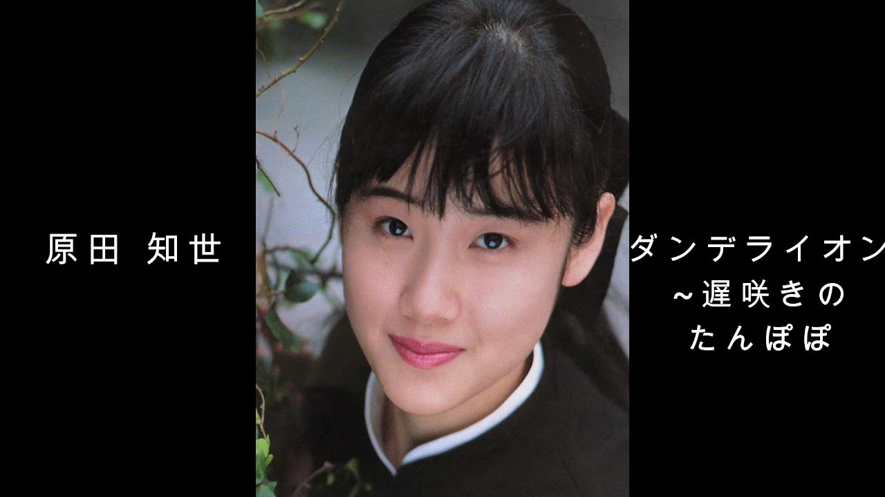 原田 知世 『 ダンデライオン ～ 遅咲きのたんぽぽ 』