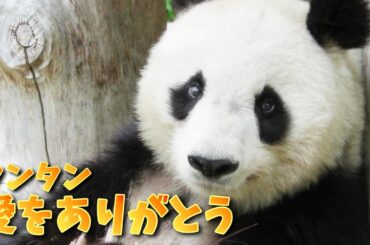 永明さん、タンタンさん、愛を夢をありがとう♥ 札幌からタンタン生配信スペシャル！ タンタンラブツアー！ アドベンチャータンタンワールド！【生配信タンタンSPECIAL_3/16】 【王子動物園】