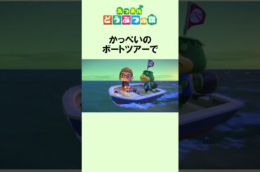 流れ星の島のまめ知識 #Shorts #あつ森 #どうぶつの森 #あつまれどうぶつの森