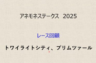 アネモネステークス　2025（レース回顧）トワイライトシティ