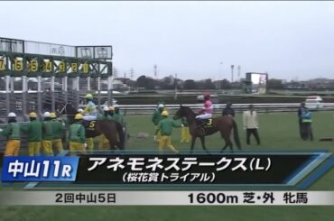 中山11R アネモネステークス（L） 〈桜花賞トライアル〉