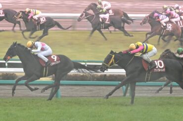 【重賞】第74回スプリングS(皐月賞トライアル)実況[優勝馬　ピコチャンブラック　石橋脩騎手]