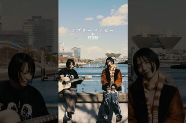 ”こわいくらい愛している”弾かせ語り「ラブリーベイビー」　　　　　　　　　＃PEDRO＃アユニ・D