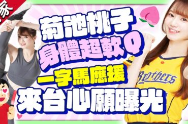 獨／菊池桃子「一字馬」應援超吸睛　曝台日球場差異預告寵粉福利 @chinatimesent