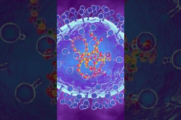 中国でのhMPV感染者増加、過剰なパンデミック懸念