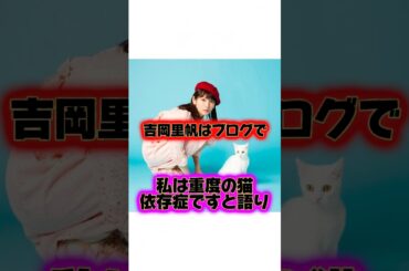 どの時代も可愛い『吉岡里帆』の生い立ちに関する雑学