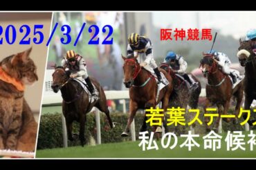 2025/3/22　阪神競馬　若葉ステークス（皐月賞トライアル）私の本命候補