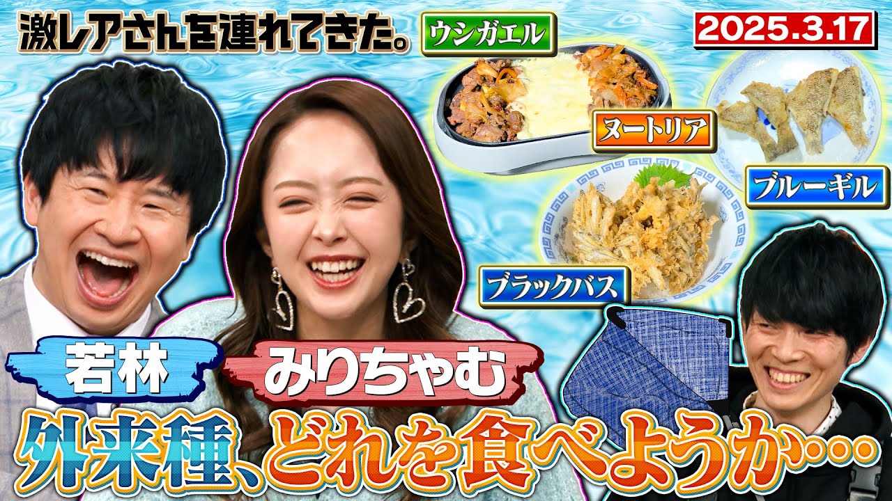 【激レアさん】もし外来生物を食べるなら…/2025.3.17放送 【激レアさん】もし外来生物を食べるなら…/2025.3.17放送
