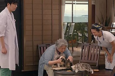 恋愛映画フル2025最新 🔥 ドラマ映画 ✨ Japan Romantic Movie 2025🔥センセイ君主#8823