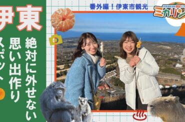 ミカリンTV 番外編伊東市観光② 観光スポット編