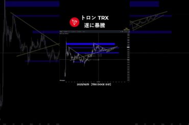【TRX トロン】遂に暴騰 #アルトコイン #暗号資産  #仮想通貨