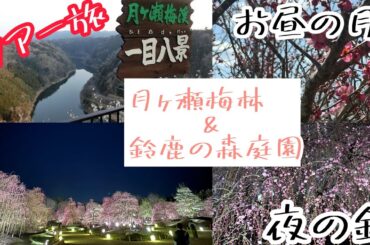 月ヶ瀬梅林&鈴鹿の森庭園ライトアップツアー旅❣️
