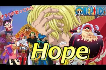 『Hope/安室奈美恵』ONE PIECE【再生回数1000回でフルやります！】【オタクが1番だけ歌ってみた】