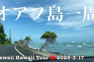 ハワイ【オアフ島一周】東廻りでどこでもプライベートツアー