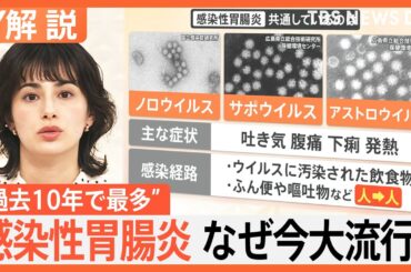 「立っていられない…」ノロウイルス以外の感染性胃腸炎に要注意　寒暖差とインバウンドも影響か “10年で最多”【Nスタ解説】｜TBS NEWS DIG