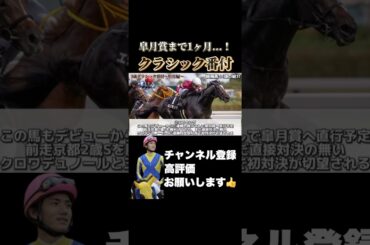 【牡馬クラシック】皐月賞まであと1ヶ月！クラシック路線で「横綱級」の馬とは？#競馬 #皐月賞 #クロワデュノール #阪神大賞典 #愛知杯 #フラワーカップ #ファルコンステークス