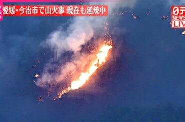 【速報】愛媛･今治市で山火事  現在も延焼中