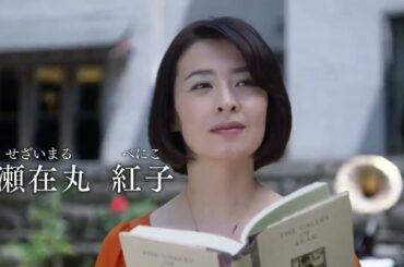 瀬在丸紅子の事件簿黒猫の三角檀れい主演 時間サスペンス