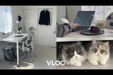 【vlog】24歳、新生活に向けてシンプルな部屋をつくる