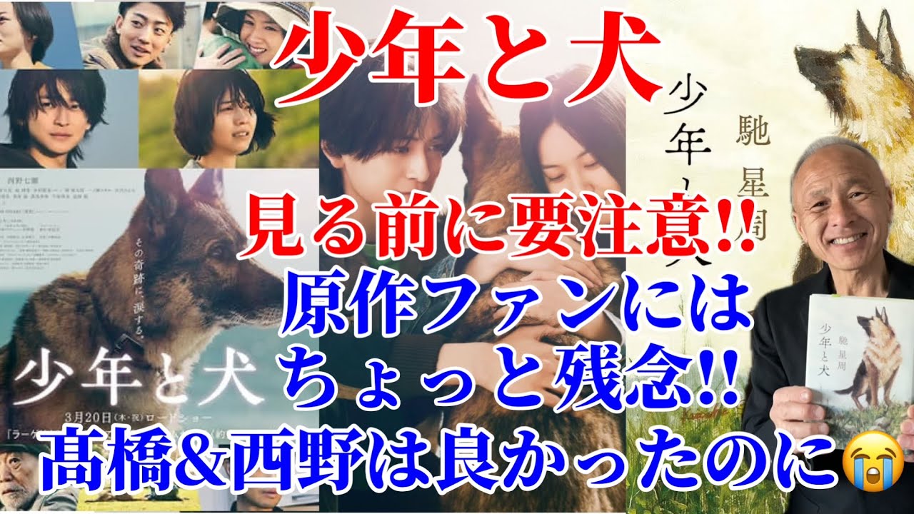 【少年と犬】原作ファンにはちょっと残念‼︎見る前にこれだけは伝えたいこと! 【少年と犬】原作ファンにはちょっと残念‼︎見る前にこれだけは伝えたいこと!