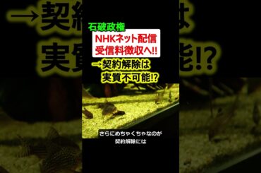 NHKネット配信、受信料の徴収強化へ!! →支払わないと裁判も!?【石破政権】