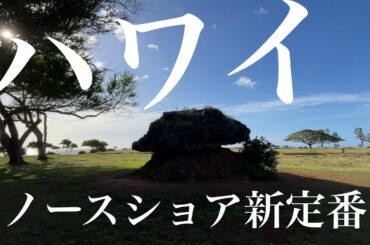 ハワイ【新定番コース】親子３人ノースショア どこでもプライベートツアー