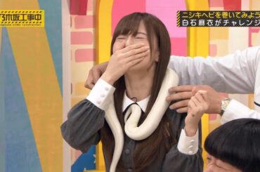 【乃木坂46】『乃木坂工事中』🌞🌞🌞「可愛すぎる！白石麻衣、ニシキヘビとの意外な触れ合いに密着！」