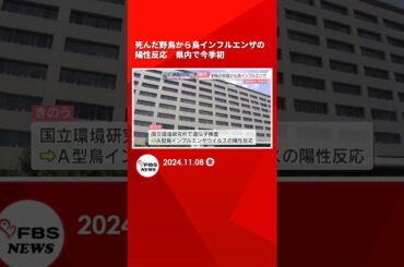 死んだ野鳥から鳥インフルエンザの陽性反応　県内で今季初　付近の養鶏場などで異常は確認されず　福岡 #shorts