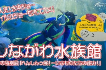 しながわ水族館 映像ツアー 春の特別展「へんしんっ展！～いきものたちの能力！～」 水中ショー＆イルカショーも必見。