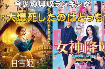 記録的な大爆死？興行ビジネスは博打【俺的映画速報Vol.313】【白雪姫 女神降臨 興収 興行収入 教皇選挙 少年と犬 映画 ドラマ ホラー映画 レビュー ウィキッド レイチェル・ゼグラー】