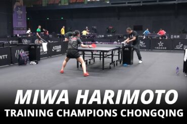 Miwa Harimoto training | Champions Chongqing