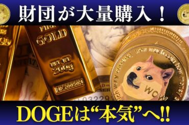 ドージコイン財団が1.8億円分購入！DOGEは本当に“使える通貨”になるのか？