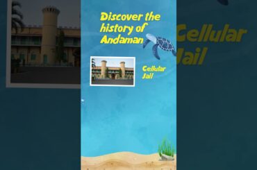 💑 Best Andaman Honeymoon Tour ✨ | 6 Days Romantic Travel Plan 🏝️ #Shorts