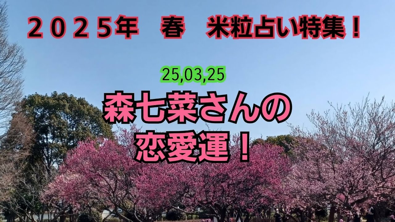 25,03,25森七菜さんの恋愛運！～米粒占い(台湾流易学)～
