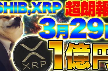 【仮想通貨SHIB、XRP】SHIB、XRP保有者に超朗報！3月29日に億り人確定！