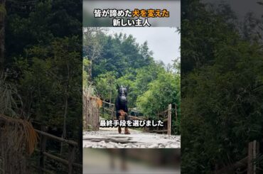 皆が諦めた犬を変えた新しい主人