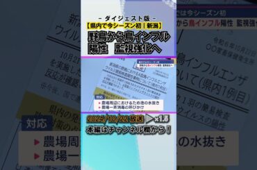 県内では今シーズン初：野鳥から鳥インフルエンザ陽性 監視強化へ #news #short  #ux新潟テレビ21 #新潟