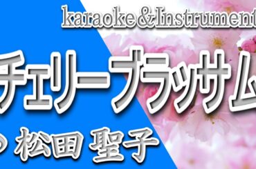 チェリーブラッサム/松田 聖子/カラオケ/Instrumental/歌詞/CHERII BURASSAMU/Seiko Matsuda