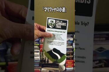 ホテルで見つけたマリファナツアーのパンフレット