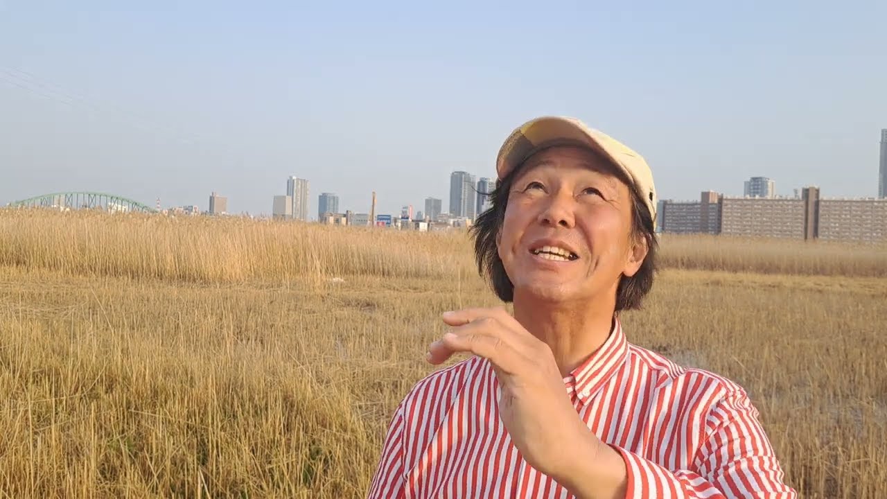 桜田淳子出演昭和ドラマ『愛の教育』の主題歌『夕暮れはラブソング』を歌う❗#桜田淳子 #ドラマ主題歌 #80年代歌謡曲 #昭和のドラマ #懐メロ #岡本おさみ #深町純 #想い出のメロディー #アカペラ