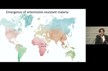 新型コロナウイルス感染症パンデミック下のマラリア根絶：社会・経済学と医学の統合的アプローチを通じた熱帯アフリカにおける挑戦