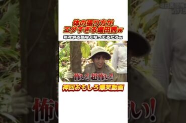 モデルでは思えないほど体を張る堀田茜w #イッテq #出川哲朗 #デヴィ夫人 #出川ガールズ #河北麻友子 #堀田茜 #谷まりあ #お笑い #バラエティ #おもしろ動画 #shorts