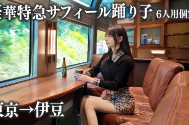 【東京→伊豆】豪華特急サフィール踊り子の6人用個室に初乗車、これはさすがに...