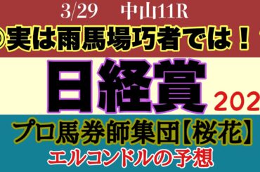 エルコンドル氏の日経賞2025予想！！前日から降り続く雨の影響は？雨馬場巧者が好走する絶好の舞台で非常に難解！