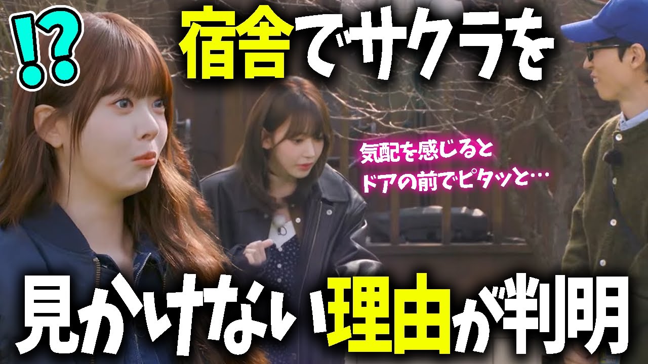 【LE SSERAFIM】衝撃の事実を知ってショックを受けるマンチェwww【日本語字幕】 【LE SSERAFIM】衝撃の事実を知ってショックを受けるマンチェwww【日本語字幕】