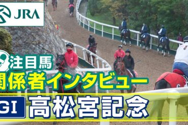 【注目馬 関係者インタビュー】2025年 高松宮記念｜JRA公式