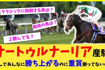 【競馬】サートゥルナーリア産駒、なんであんなに勝ち上がるのに重賞勝ってないの？【反応集】