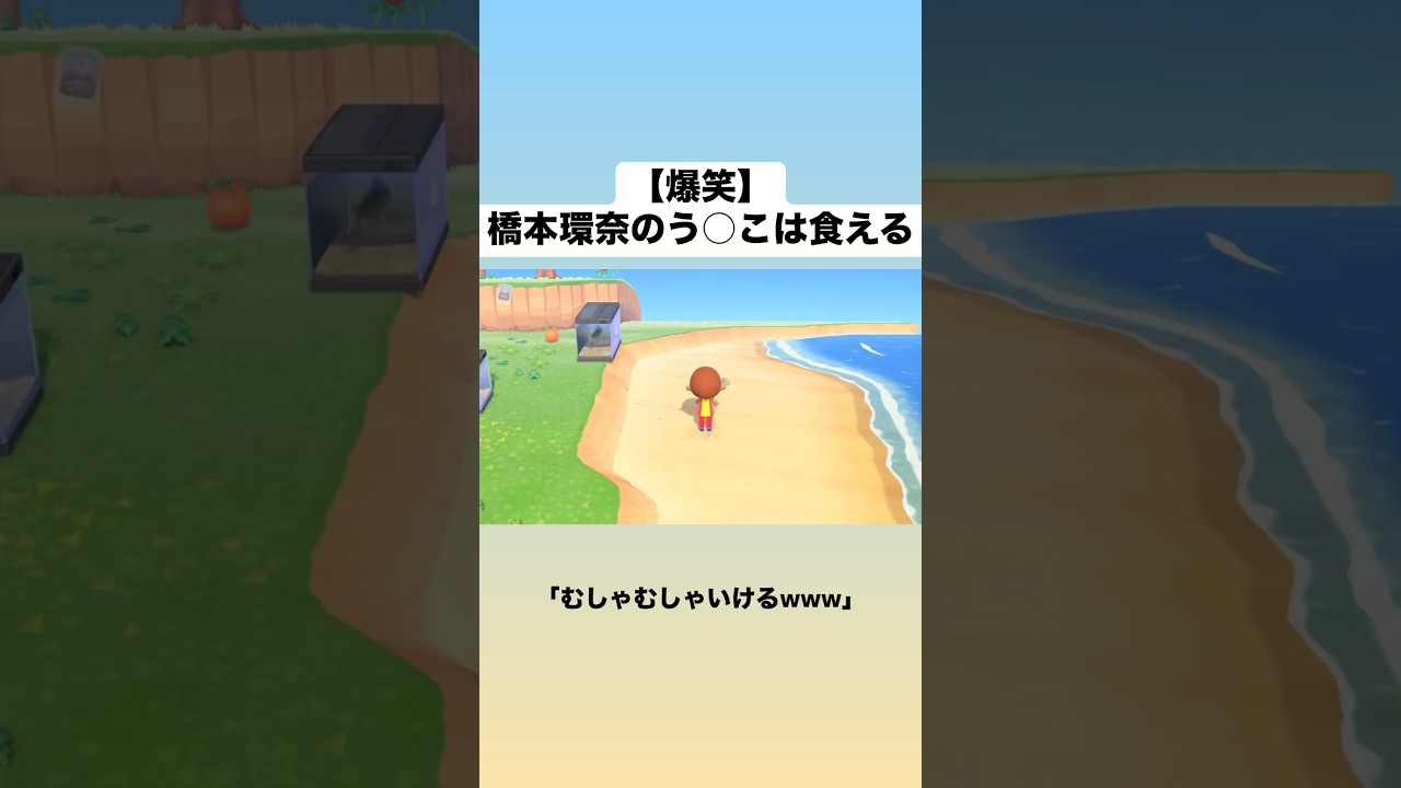 橋本環奈のう○こは食える【あつまれどうぶつの森】＃ブラックナイト山田 #ゲーム実況 #面白動画 ＃橋本環奈＃新垣結衣＃ガッキー＃長澤まさみ