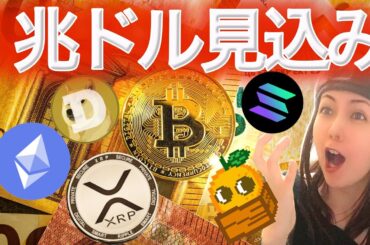 大口は2億2300万ドル相当爆買いしている 素人は売っている